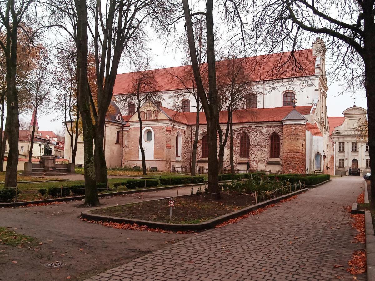 Vilnius Old Town Accommodation Kültér fotó